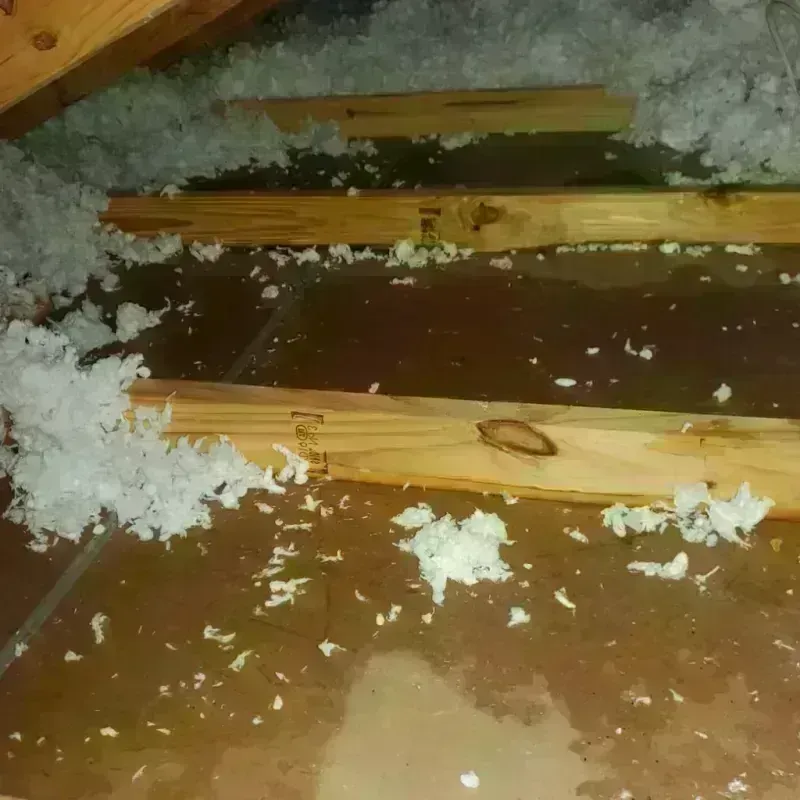 Attic Water Damage in Hawaiian Beaches, HI