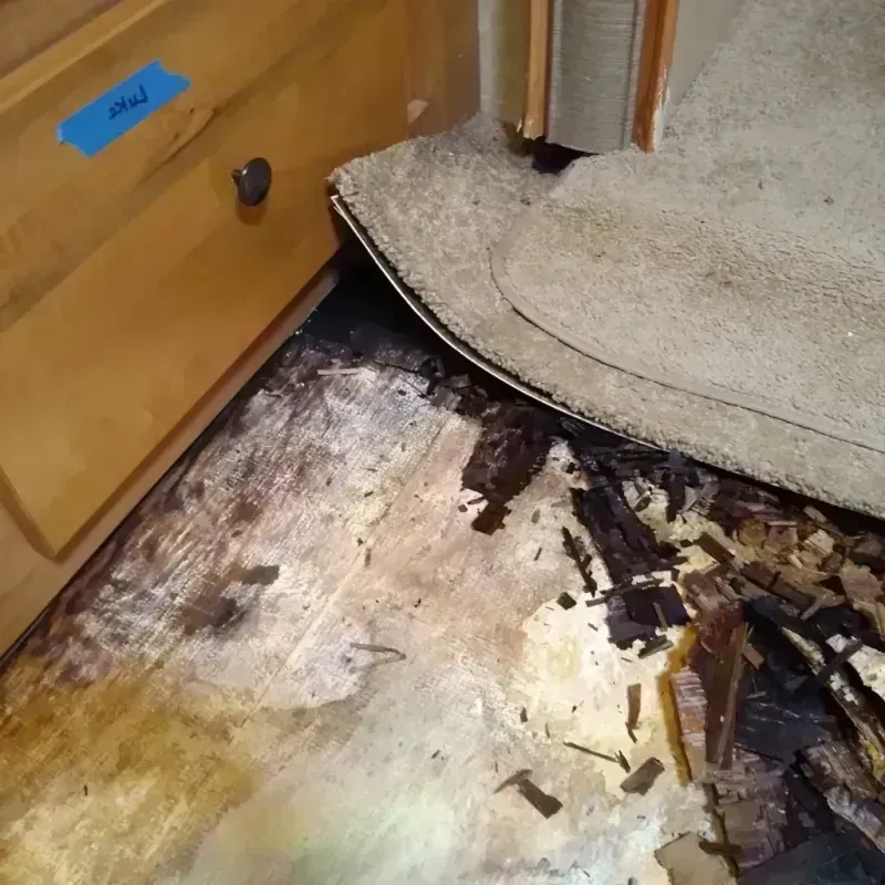 Wood Floor Water Damage in Hawaiian Beaches, HI